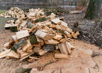 Padidintos kompensacijos už malkas nepasiturintiems Radviliškio rajono gyventojams