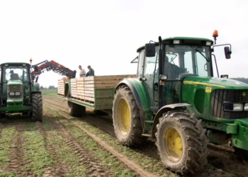 Nuo spalio vidurio bus pradėtos mokėti avansinės išmokos, susijusios su plotu ir ūkiniais gyvūnais