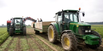 Nuo spalio vidurio bus pradėtos mokėti avansinės išmokos, susijusios su plotu ir ūkiniais gyvūnais