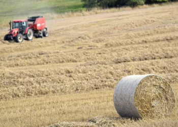 Nuo spalio 16 d. pradedamos mokėti avansinės išmokos žemdirbiams