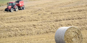 Nuo spalio 16 d. pradedamos mokėti avansinės išmokos žemdirbiams