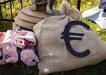 Didžiausias protestas prie VMVT: ar teisingumo svarstyklės pakrypo į pinigų, o ne paršelių pusę?