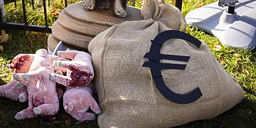 Didžiausias protestas prie VMVT: ar teisingumo svarstyklės pakrypo į pinigų, o ne paršelių pusę?