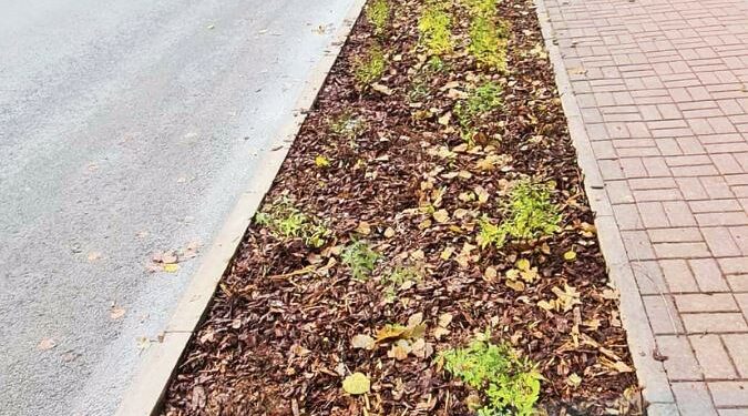 Zarasų raj.sav.nuotr.