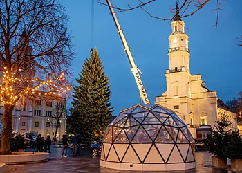 Kauno Kalėdų eglutė pasiekė Rotušės aikštę