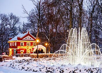Raudondvaryje sužibo pagrindinė Kauno rajono eglė