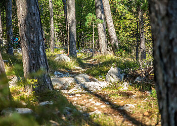 Nakties paieškos laukuose baigėsi sėkmingai – senolė rasta gyva (video)