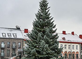 Panevėžys ruošiasi Kalėdų eglės įžiebimo šventei: laikinai keisis automobilių ir viešojo transporto eismas