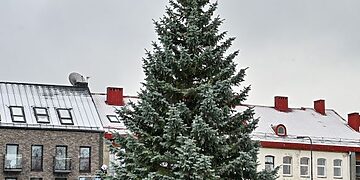 Panevėžys ruošiasi Kalėdų eglės įžiebimo šventei: laikinai keisis automobilių ir viešojo transporto eismas