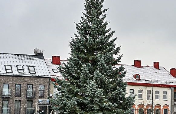 Panevėžio m.sav.nuotr.