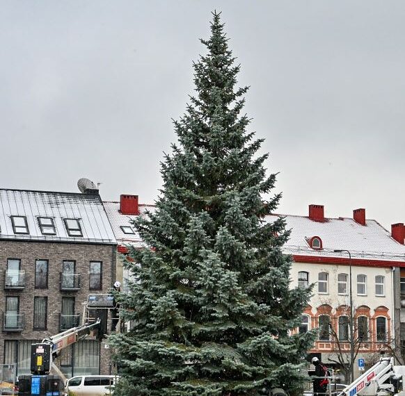 Panevėžio m.sav.nuotr.
