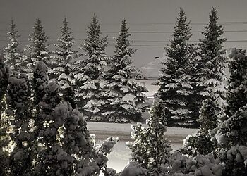 Per Lietuvą slenka sniego ciklonas – pietiniuose rajonuose sniego storis siekia 20 cm ir daugiau