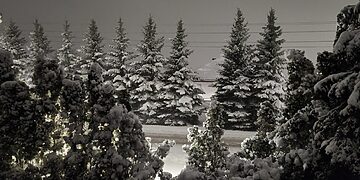 Per Lietuvą slenka sniego ciklonas – pietiniuose rajonuose sniego storis siekia 20 cm ir daugiau