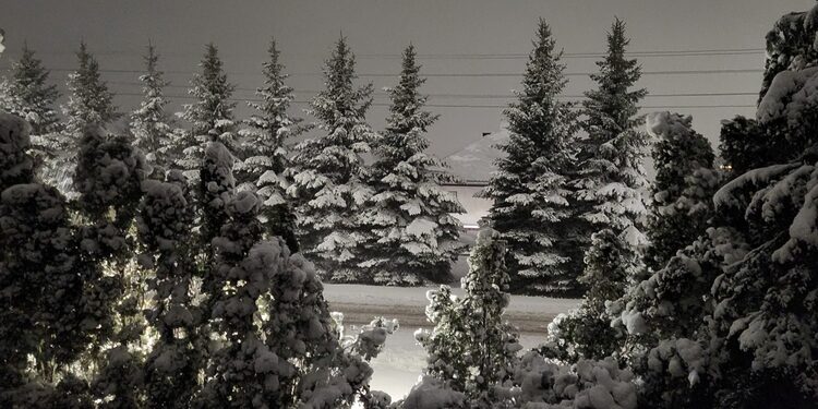 Sniegas Marijampolėje