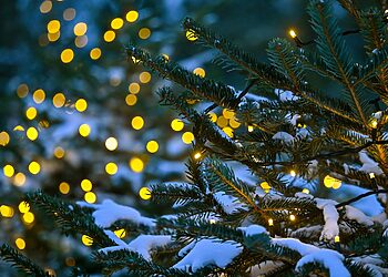 Panevėžys ruošiasi Kalėdoms: lapkričio 28 d. įžiebiama miesto eglė