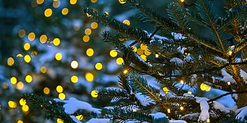 Panevėžys ruošiasi Kalėdoms: lapkričio 28 d. įžiebiama miesto eglė