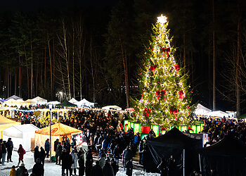 Visaginas įžiebė jubiliejinę eglę!