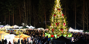 Visaginas įžiebė jubiliejinę eglę!