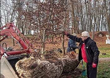 Kėdainių miesto parke sodinama pusšimtis medžių