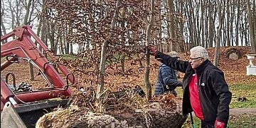 Kėdainių miesto parke sodinama pusšimtis medžių