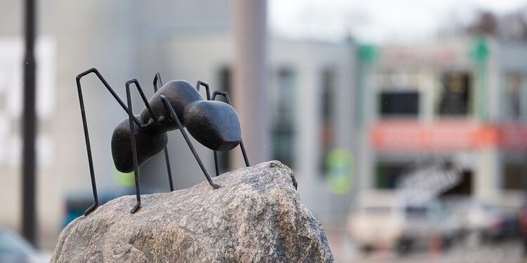 Naujos skulptūros Kaune Draugystės parke. Kauno m.sav.nuotr.