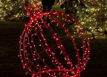 Biržų miesto Nepriklausomybės aikštėje sužibo pagrindinė miesto Kalėdų eglutė