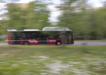 Panevėžio autobusai