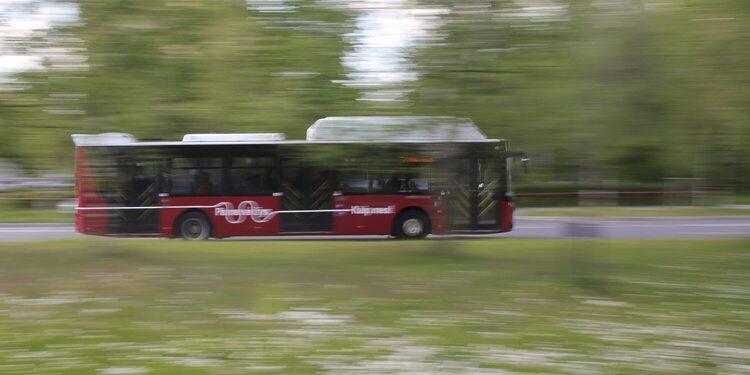 Panevėžio autobusai