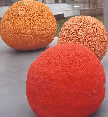 Ukmergės raj.sav.nuotr.