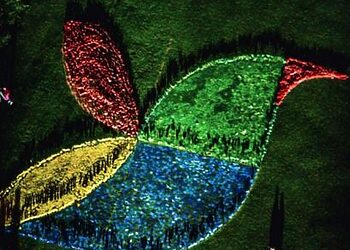 5000 paukštelių, subūrusių Jonavos miestą