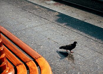 Ukmergėje tęsiami A. Smetonos gatvės rekonstrukcijos darbai