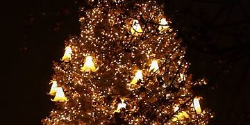 Anykščiuose įžiebta pagrindinė miesto Kalėdų eglė