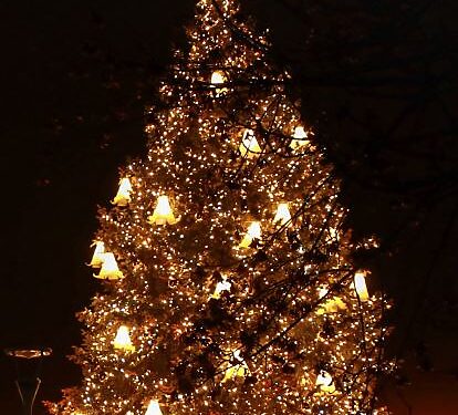 Nuotr. Jovitos Uzdraitės