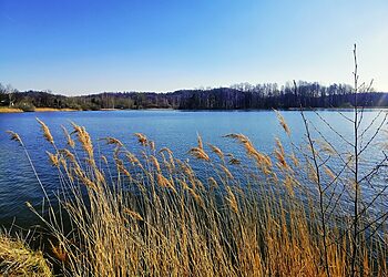 Zarasuose bus kuriama nauja pakrančių turizmo traukos erdvė
