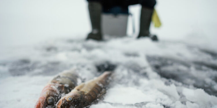 Žvejyba ant ledo/Asociatyvi nuotr./Freepik
