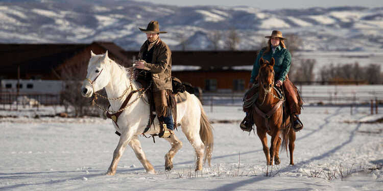 Žirgai/Freepik asociatyvi nuotr.