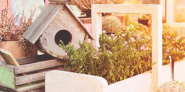 Į Ukmergę ir jos apylinkes sugrįžę paukščiai turės kur apsigyventi