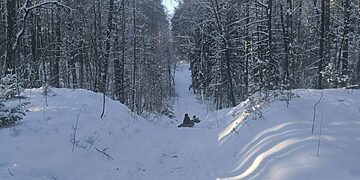 Slidinėjimo trasos atidarymas Visagine