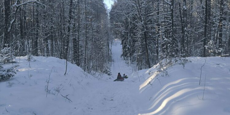 Miškelis už Visagino/Visagino turizmo plėtros c.