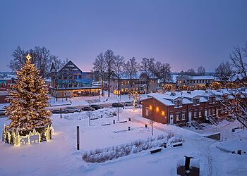 Molėtų eglutė 2025