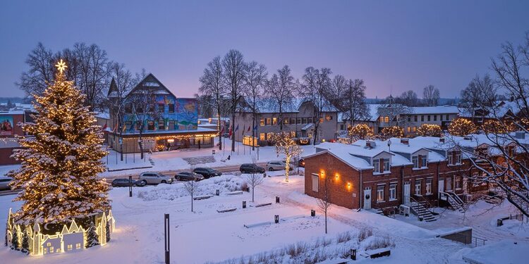 Molėtų eglutė 2025