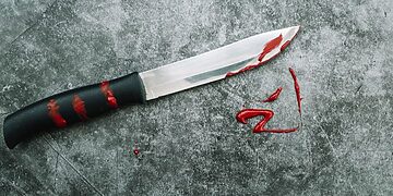 Užsibuvusius svečius vijo lauk apsiginklavę peiliu ir mačete