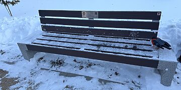 Zarasuose atidengtas Kraštiečių suoliukas