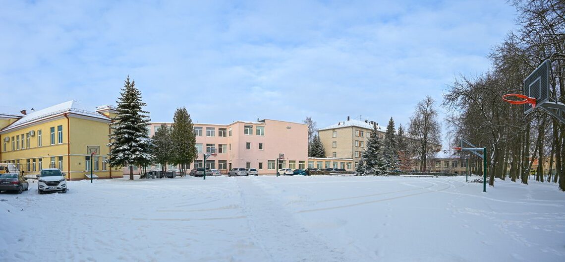 Panevėžyje planuojamas naujas sporto salių kompleksas/P. Židonio nuotr.