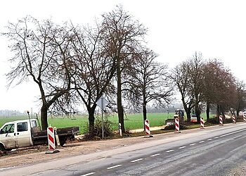 Dviračių takų plėtra Radviliškio rajone įgauna pagreitį