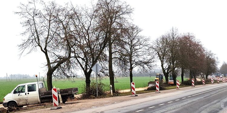 Dviračių tako statyba/Radviliškio raj.sav.nuotr.