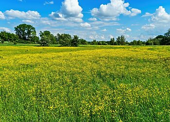 Žemės ūkio valdų valdytojai ir pareiškėjai raginami atnaujinti žemės ūkio valdų duomenis
