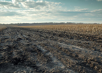Nacionalinė mokėjimo agentūra pradeda ūkininkų, kurie siekia gauti paramą, patikras