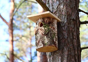 Inkilai pavasarį reikalingi, tačiau ne bet kur ir ne bet kokie