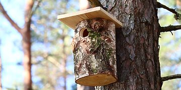 Inkilai pavasarį reikalingi, tačiau ne bet kur ir ne bet kokie